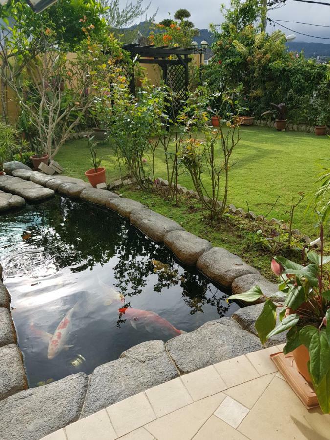 Crystal Cameron Vacation Bungalow Cameron Highlands Exterior photo